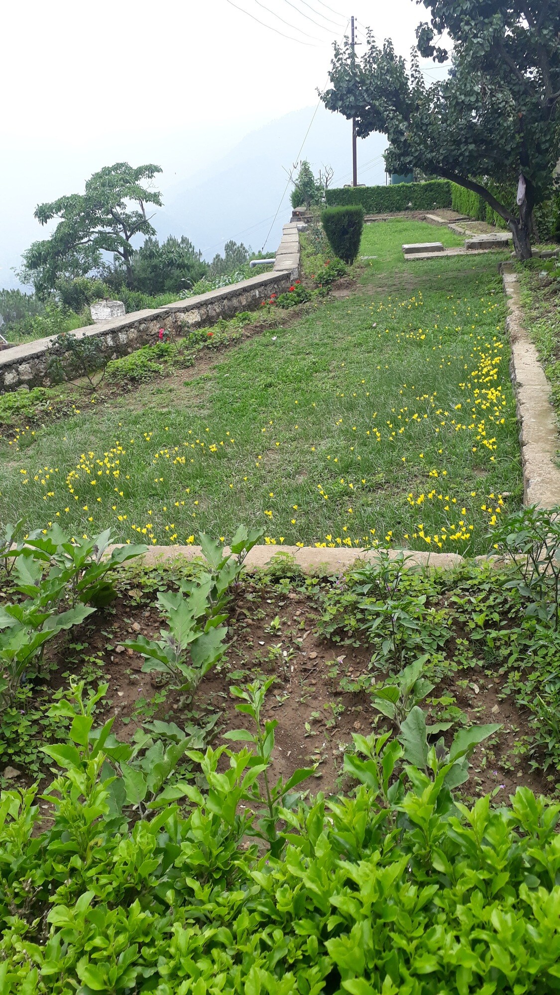 Book Hotel Winsum Hill in Solan Brewery,Solan - Best Hotels near me in Solan  - Justdial