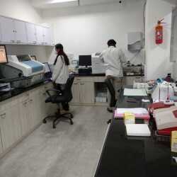 Lab view 5