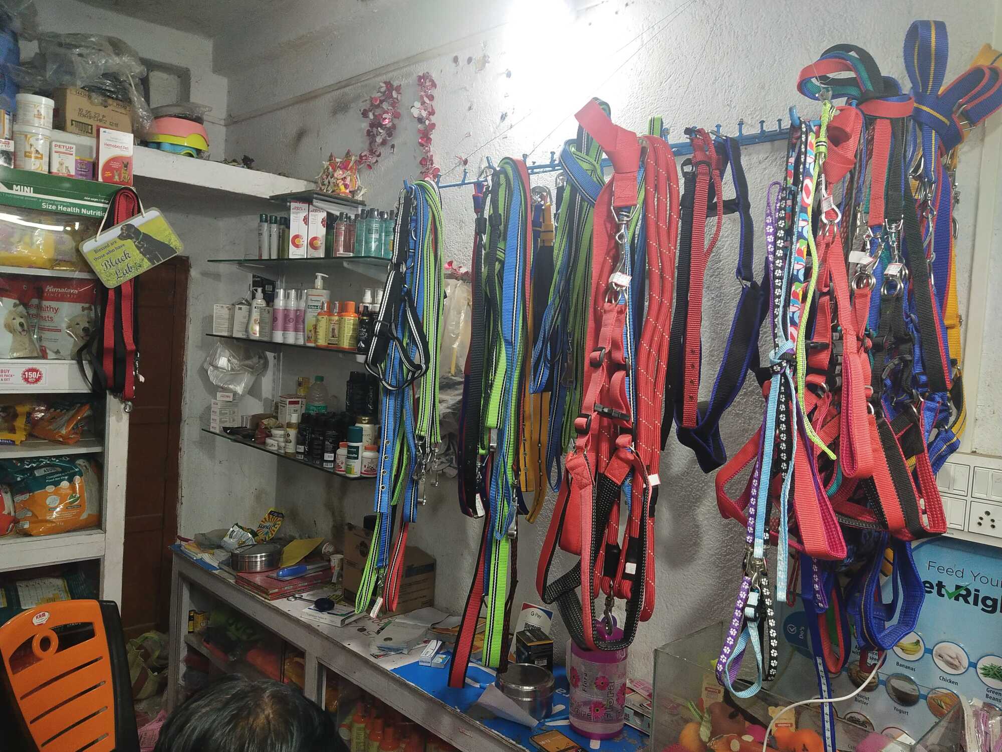 Top Pet Care Takers in Midnapore Best Dog Care Takers near me Justdial