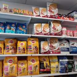 j & j pet shop