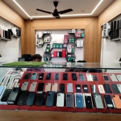 Universitet fotosuratidan yalangoch Lili