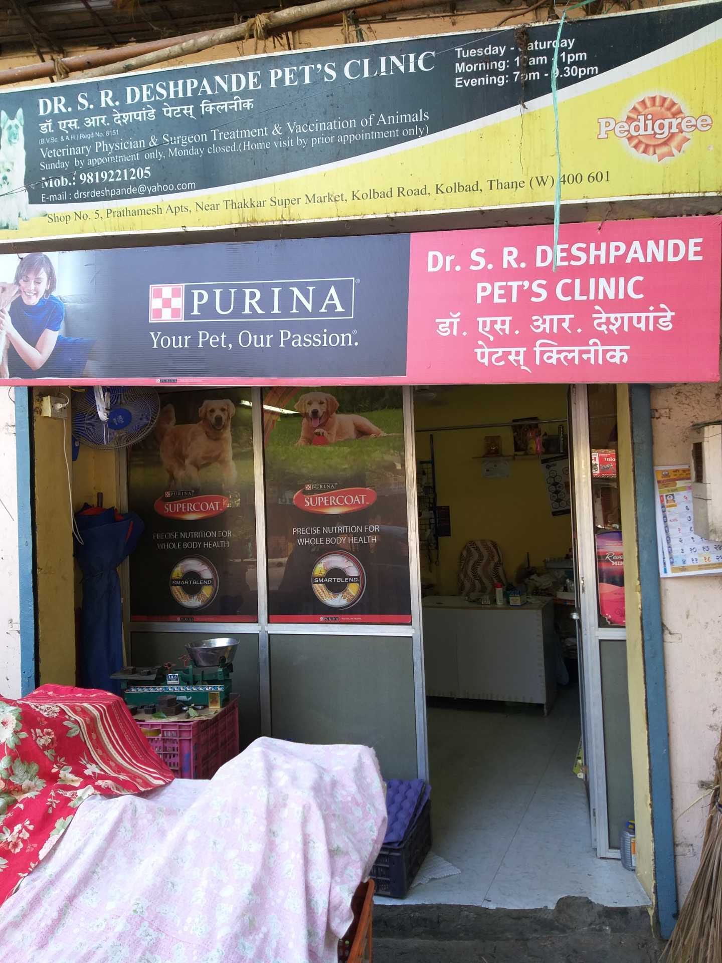 Top Veterinary Doctors For Tortoise in Mumbai Best Turtle