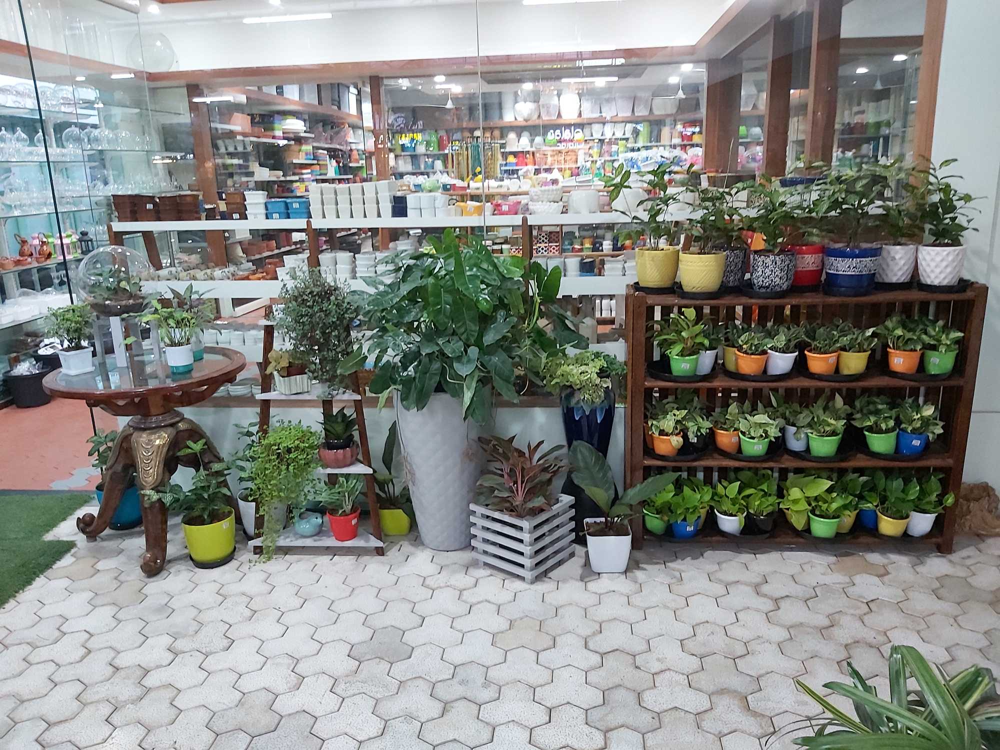 Catalogue Garden Center Nursery in Thiruvananthapuram Justdial