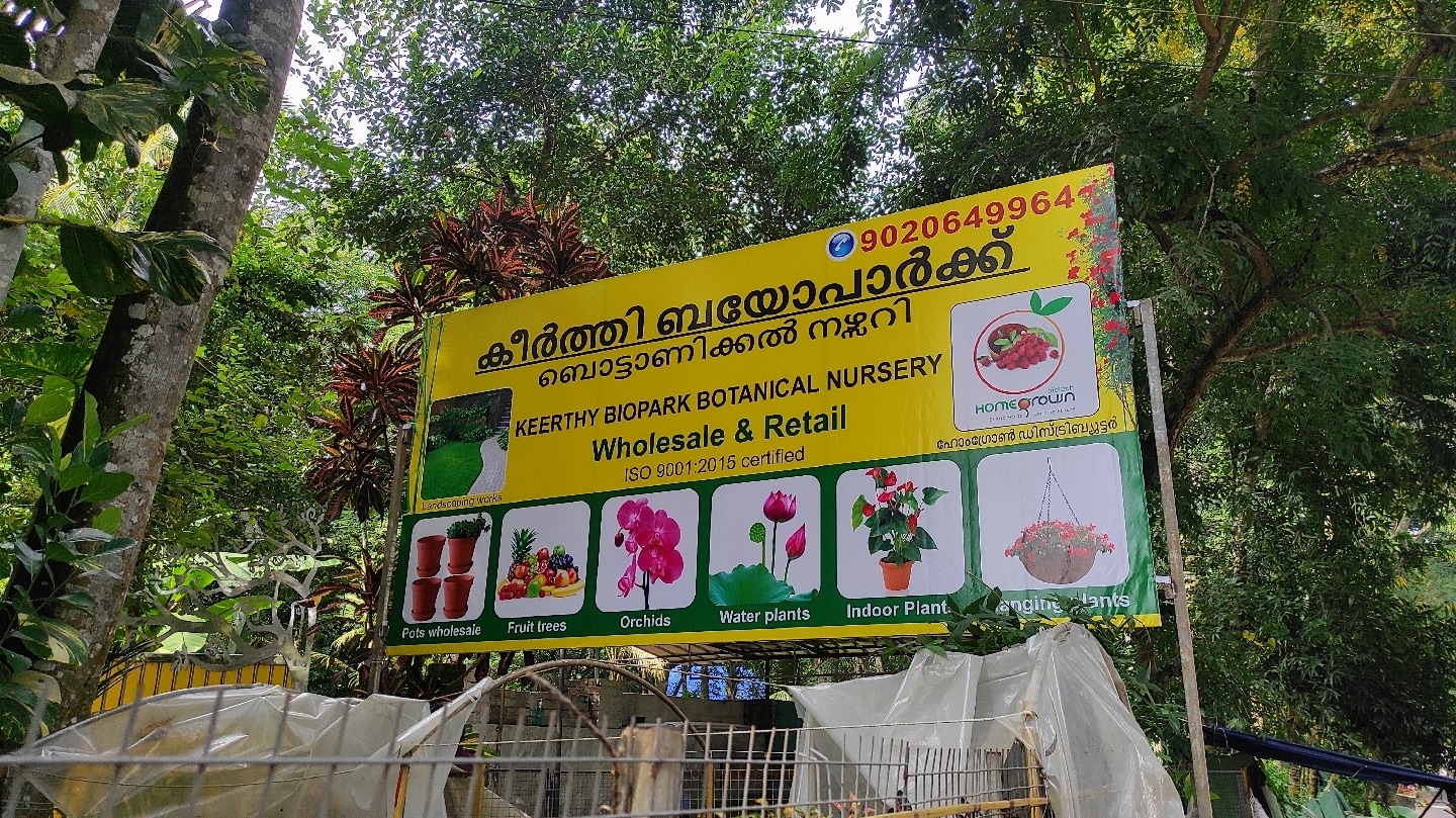 Catalogue Vedamayi Plants in Thiruvananthapuram Justdial