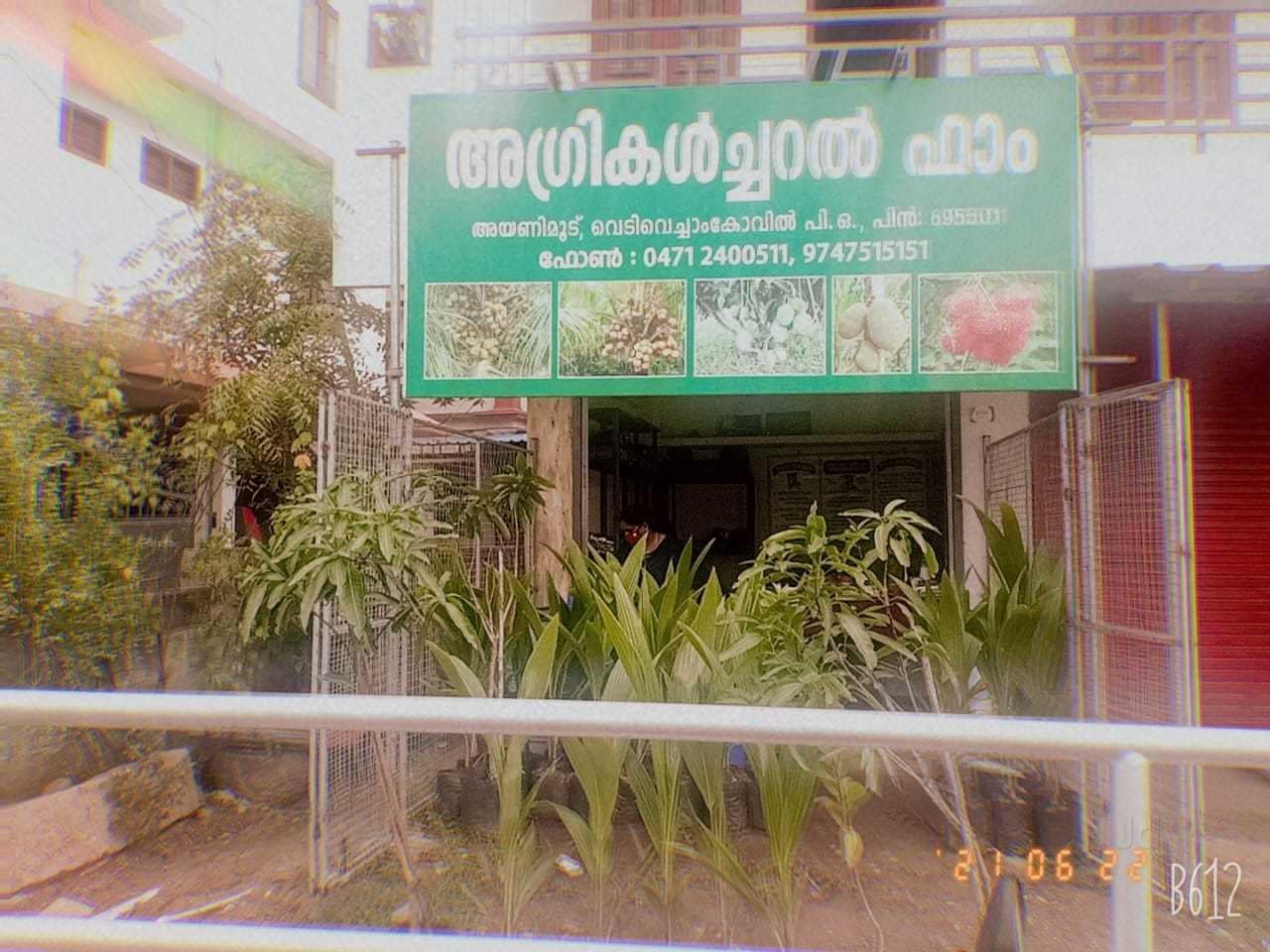 Catalogue Vedamayi Plants in Thiruvananthapuram Justdial