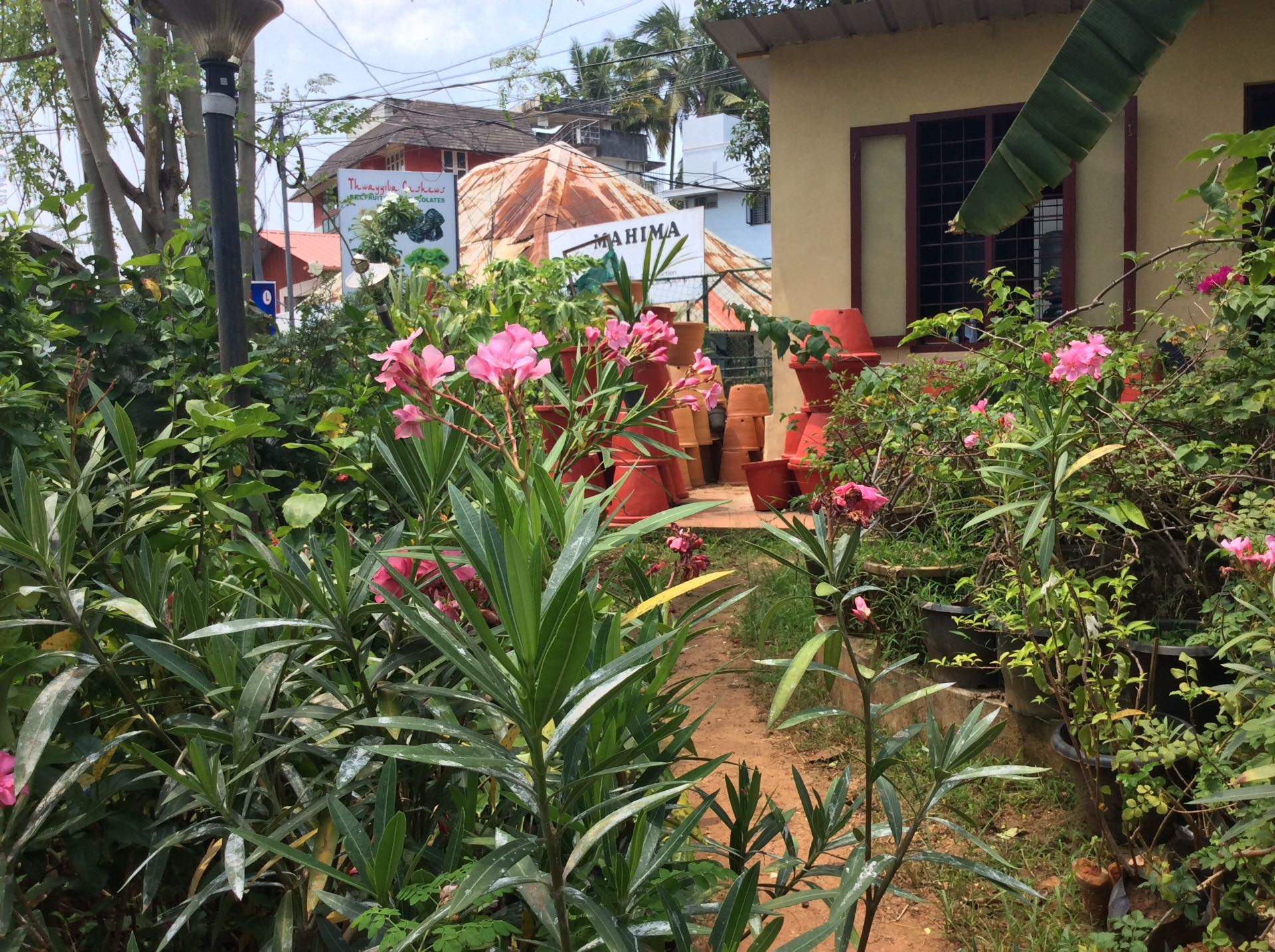 Catalogue Garden Center Nursery in Thiruvananthapuram Justdial