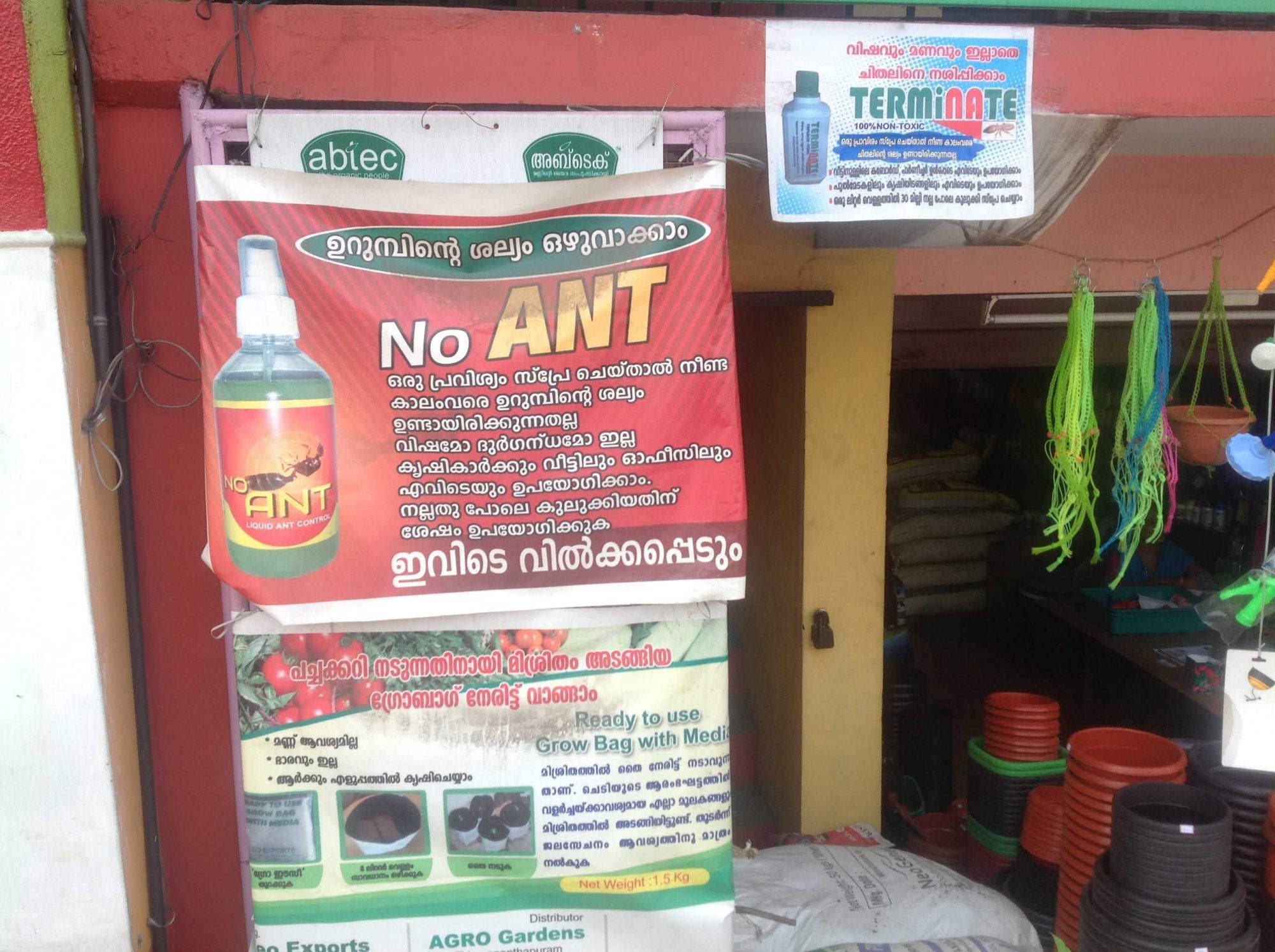 धनिया के पत्ते सिलांट्रो कीमत Rs 100/Kg