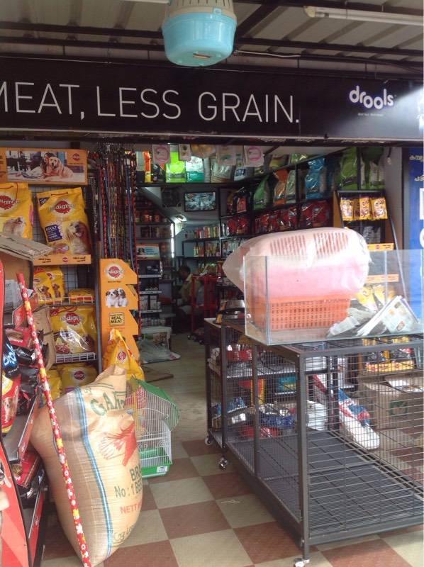 free dog adoption day 2019