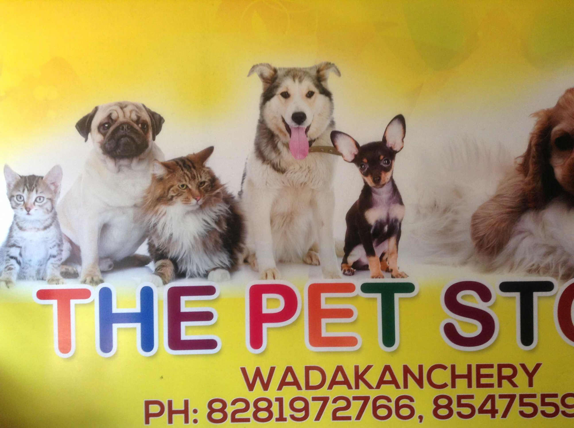 Top Pet Shops For Dog in Tirur,Thrissur Best Pet Supplies Store near