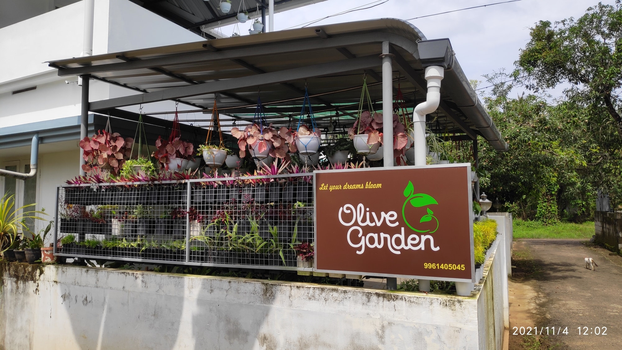Olive Garden Hiring Process Fasci Garden
