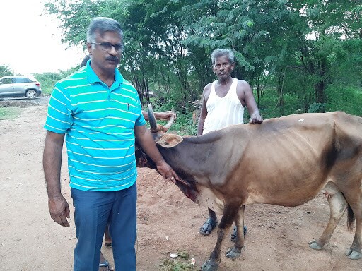 Office Of The Assistant Director Of Animal Husbandry Palakarai Veterinary Clinics In Trichy Justdial