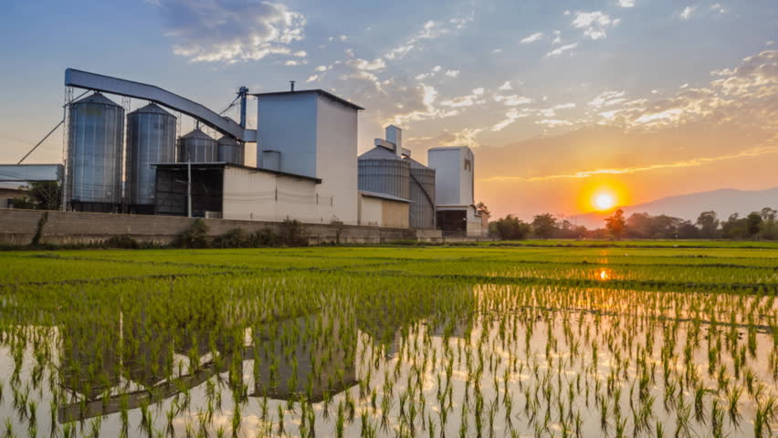 Raja Rice Merchant Rengaraj Rice Mill in Marungapuri, Trichy - Best Rice Mills in Trichy ...