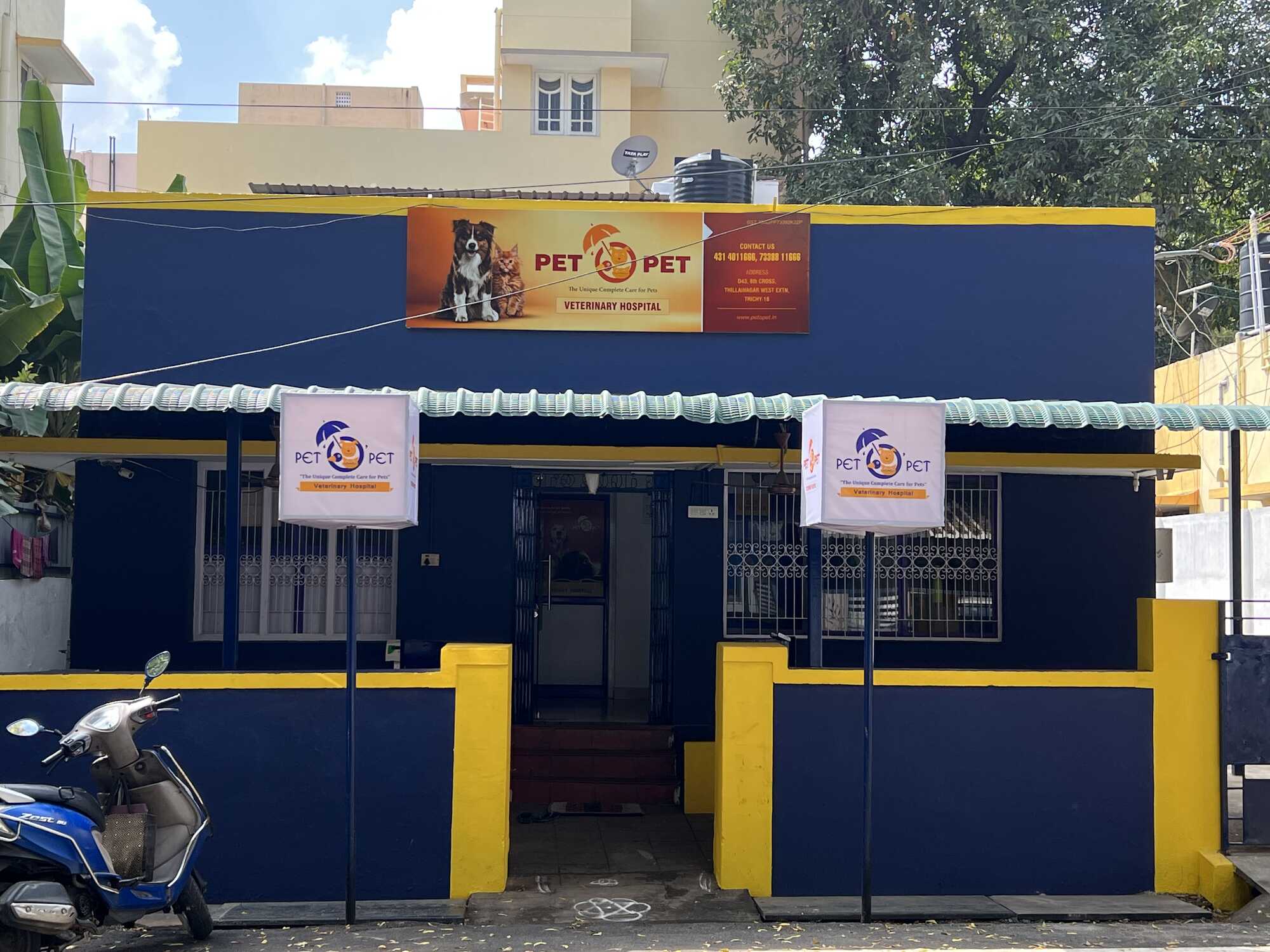 Drools Powder Pet Food Price Starting From Rs 259 Find Verified