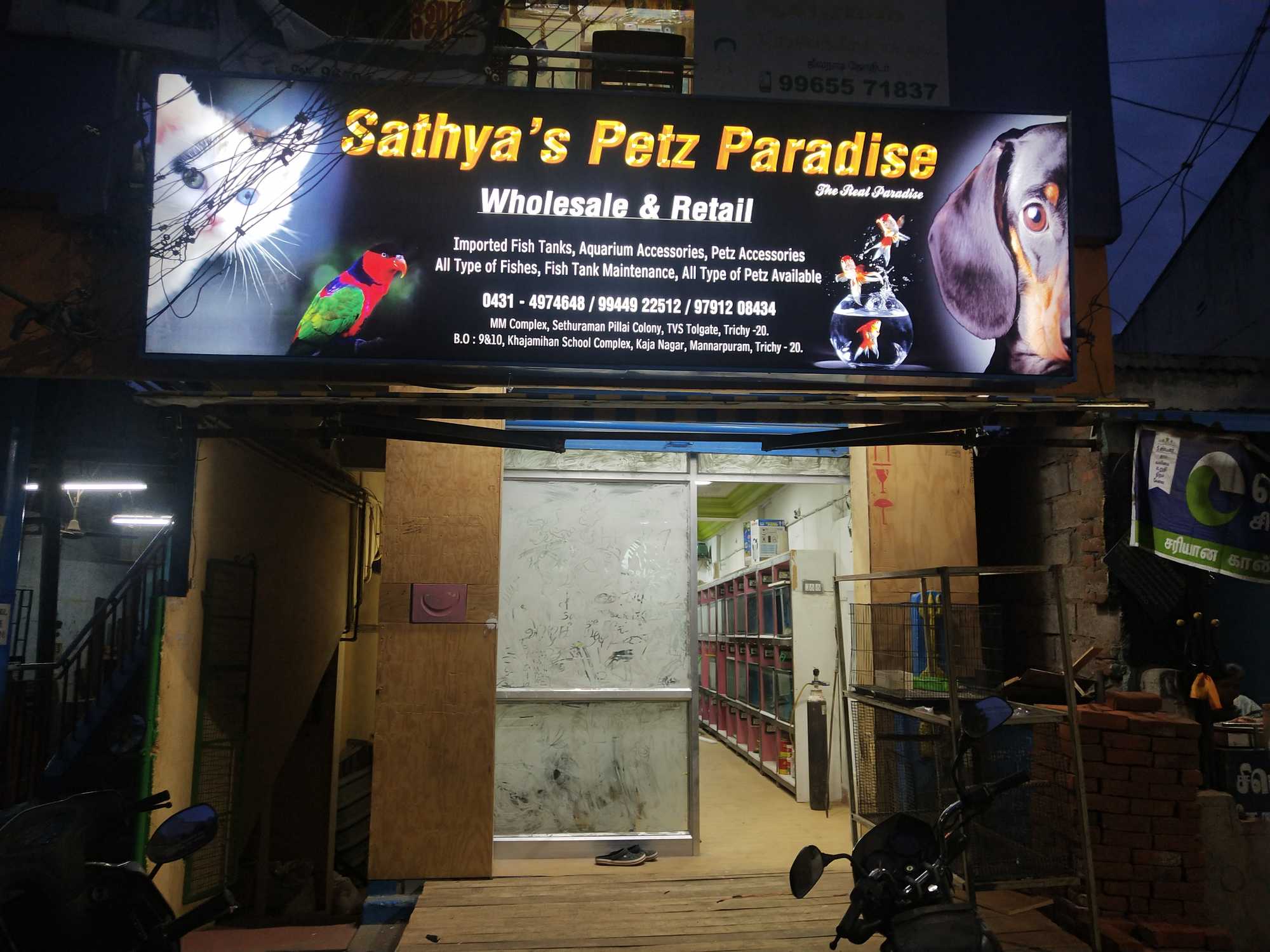 Top 20 Pet Shops For Birds in Trichy Best Bird Shops Justdial