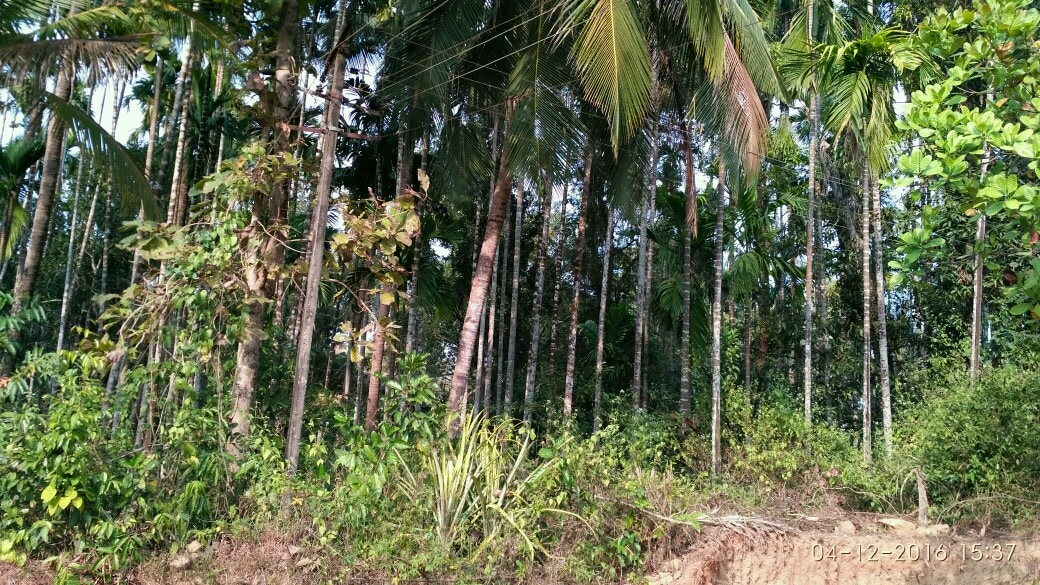 Top Real Estate Agents For Commercial Spaces in Udupi Best Brokers For Commercial Rental