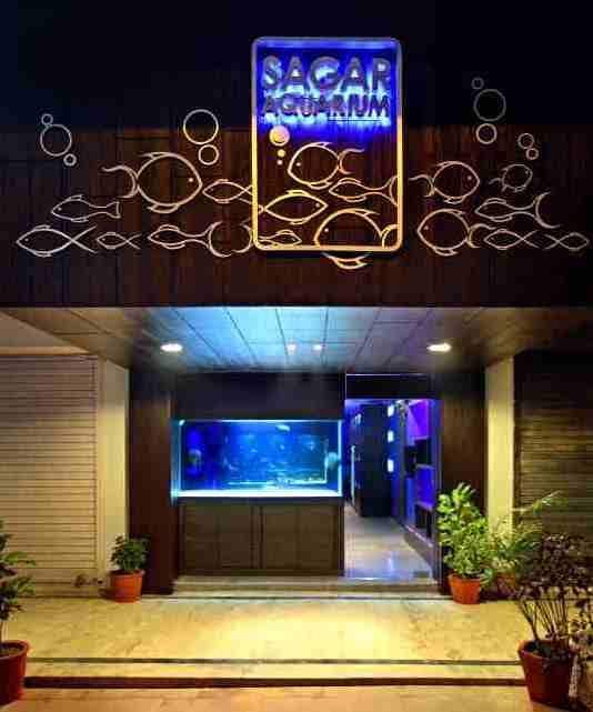 Top 30 Fish Food Retailers in Vadodara Best Fish Feed Retailers