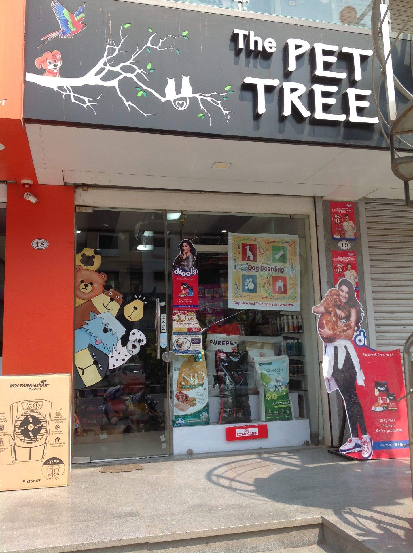 Top Pet Shops For Rabbit in Vadodara Best Pet Stores For Rabbit