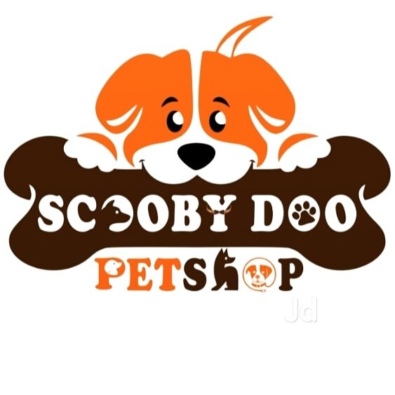 Top 20 Pet Shops For Labrador Dog in Vadodara Best Labrador Dog
