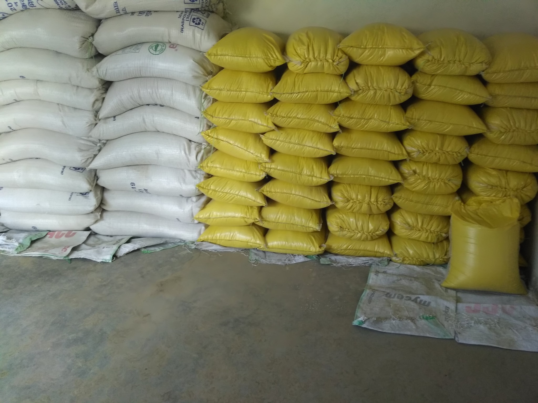 BIRYANI RICE in Varanasi Flavorful, Aromatic Hearty Dishes