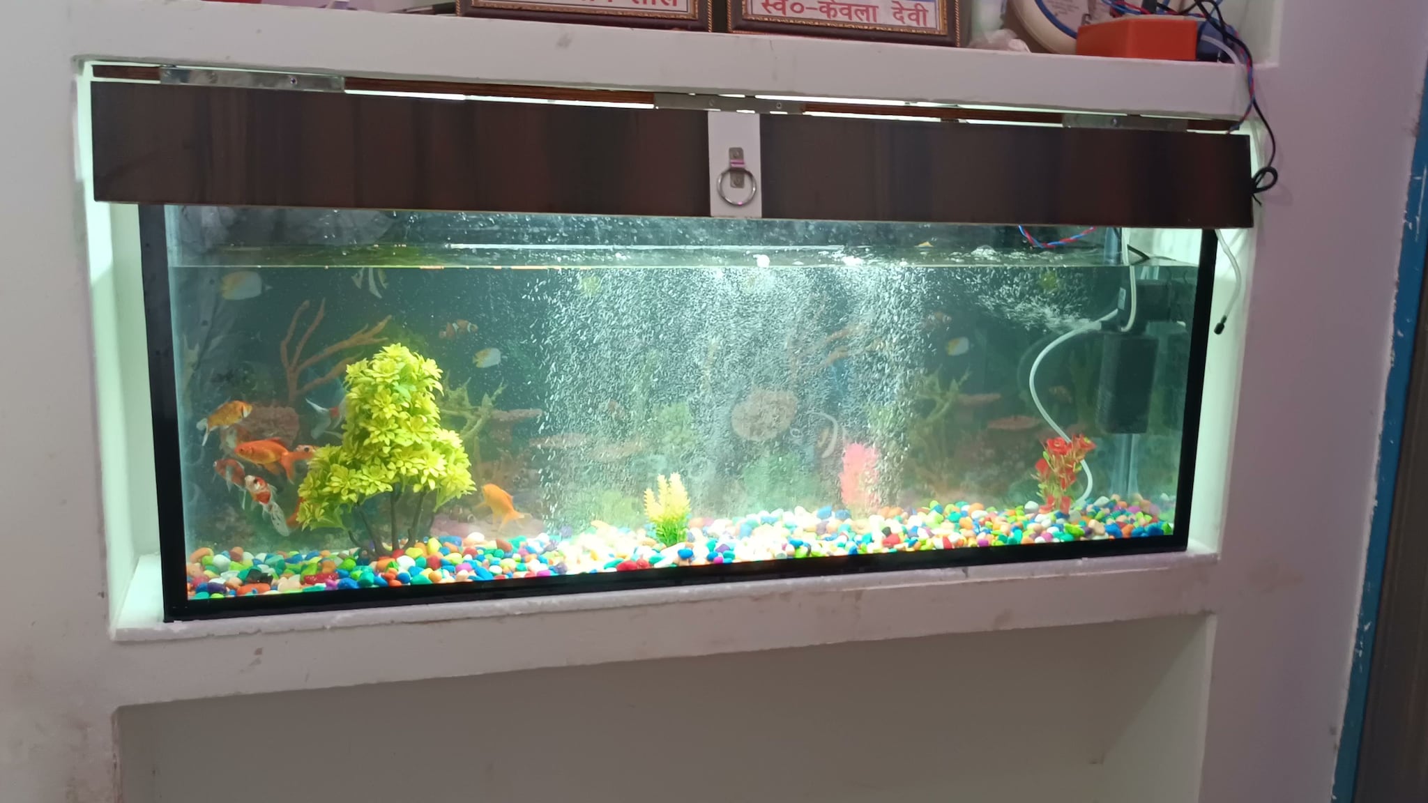 AQUARIUM ACCESSORY in Varanasi Essential, Durable Stylish