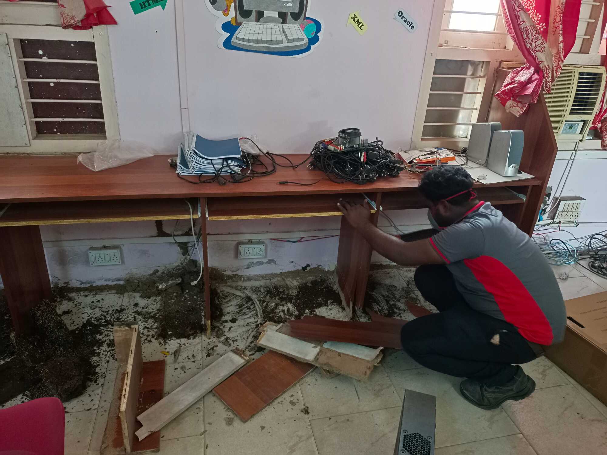 Pest Control Services for Bed Bugs in Pennamadam, Hosur - Bed Bug ...