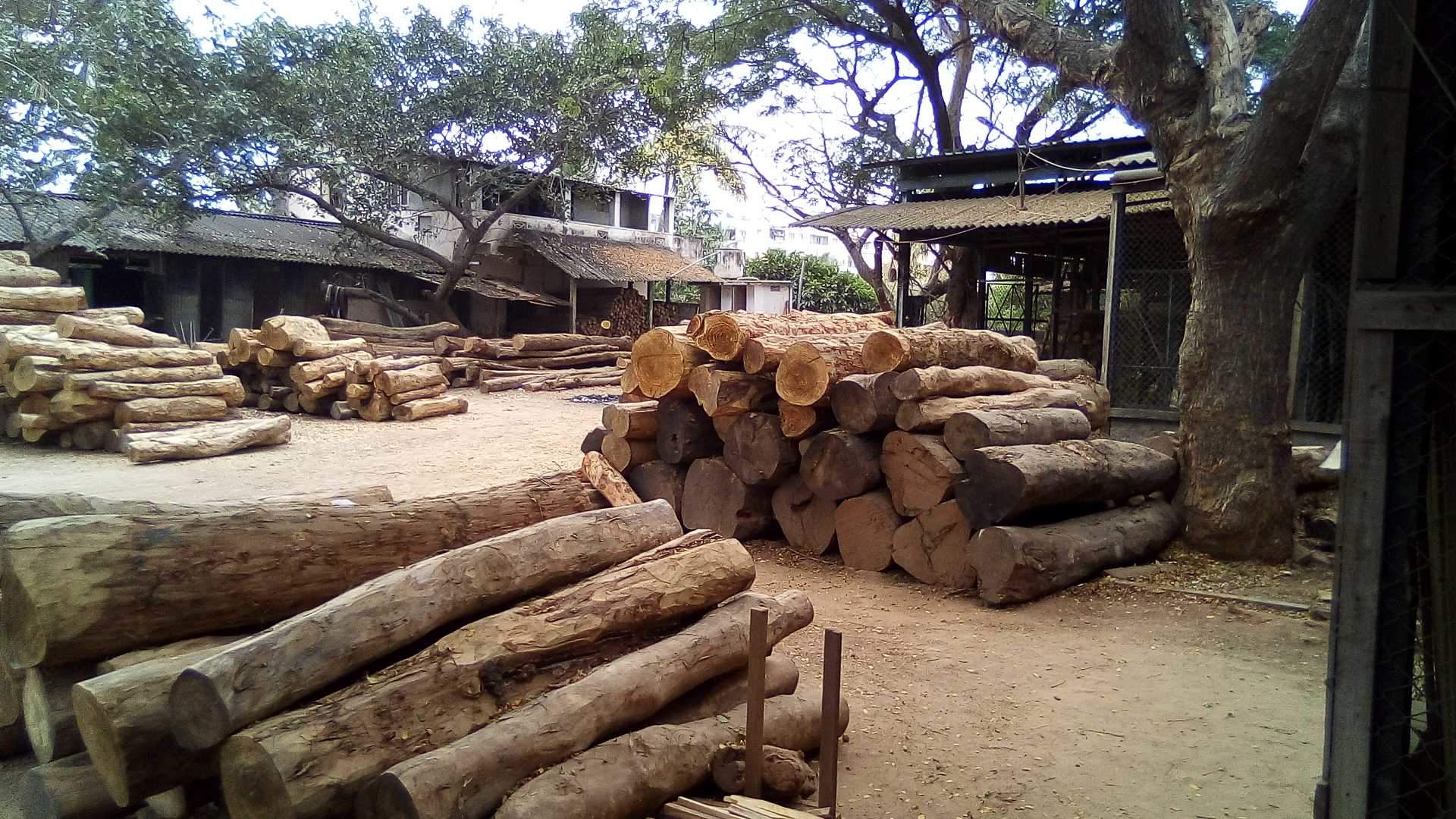 Catalogue Sri Shiva Shakthi Timber Depot in Visakhapatnam Ho