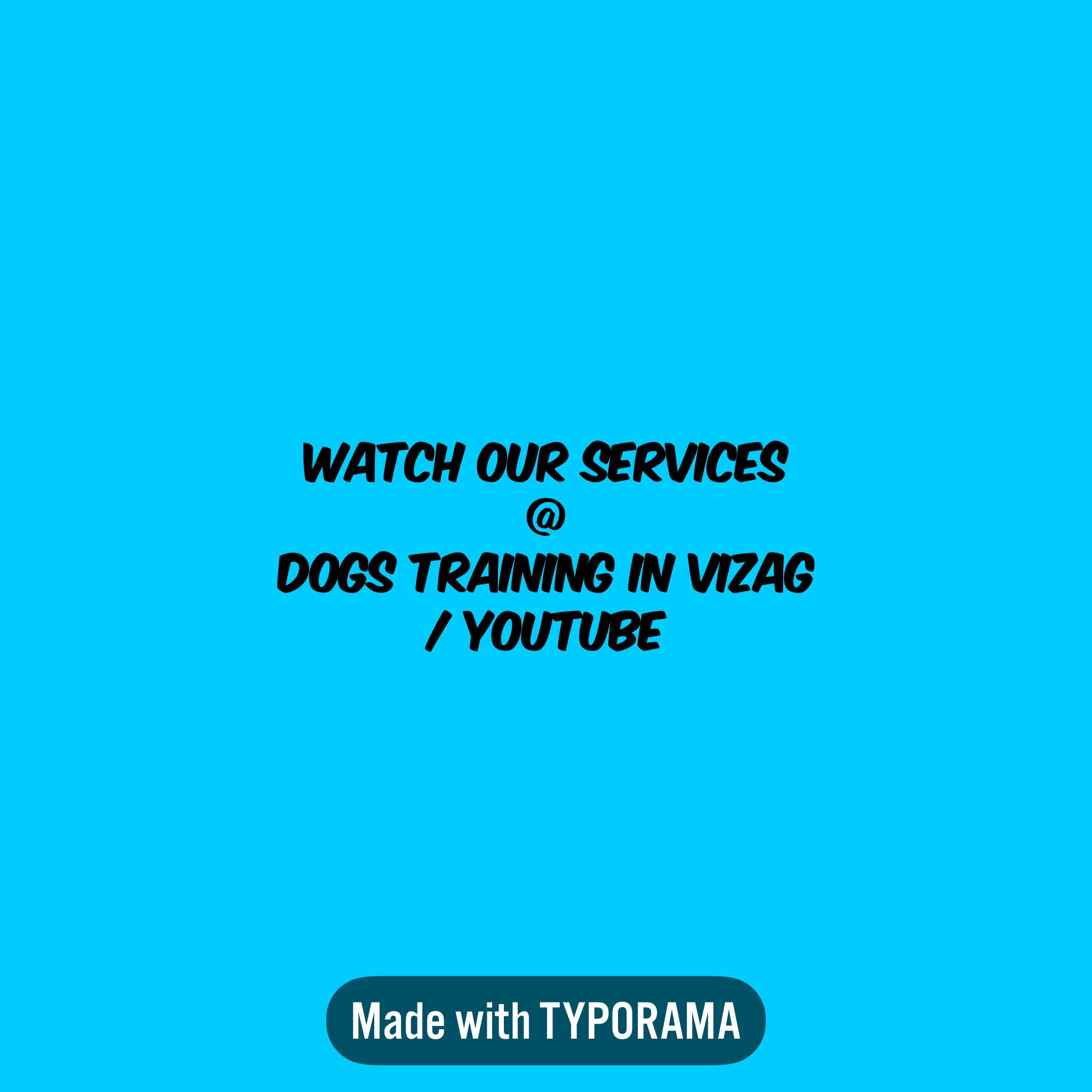 Top 30 Pet Care Takers in Visakhapatnam Best Dog Care Takers Justdial