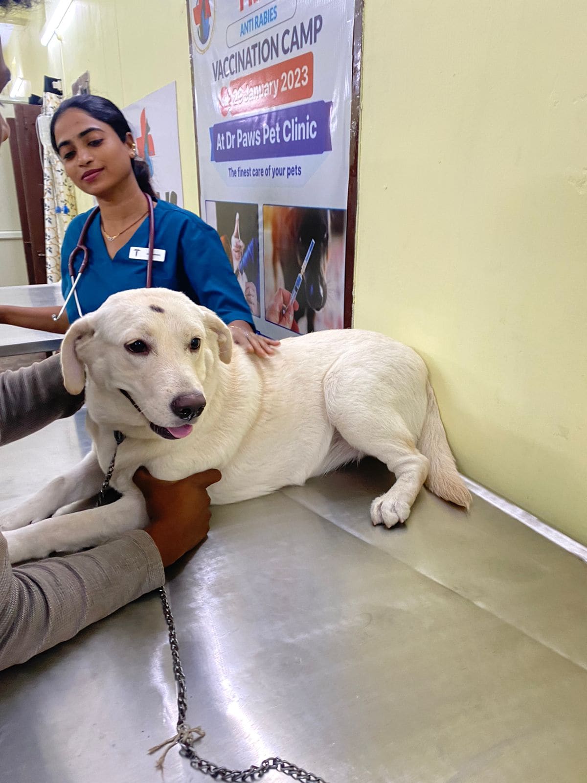 Bharatpur Dog Clinic Dog Tag In Bharatpur Personalized, Durable