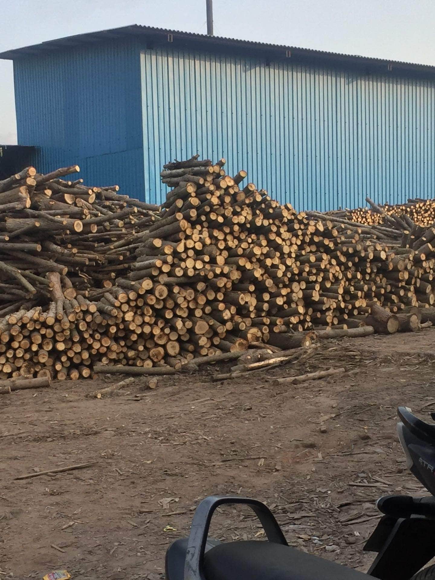 Catalogue Pooja Decorative Plywood in Khajuri , Yamunanagar Justdial