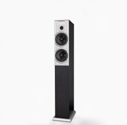 iball raaga 2.1 q9 full wood speakers