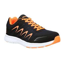 sparx running shoes price