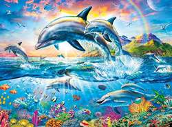 Buy Buffalo Games Vivid Collection Dolphin Paradise 1000