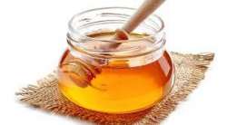 Buy Desire Organic Himalaya Honey Pure 100 Natural 500g Features Price Reviews Online In India Justdial