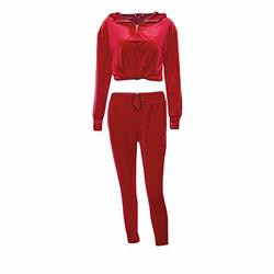 crop top sweatsuit set