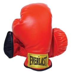 everlast mini boxing gloves