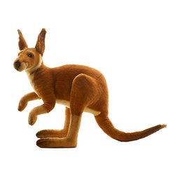 hansa kangaroo