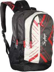 skybag ronan extra 1