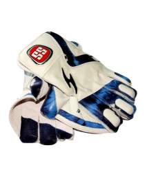 ss keeping gloves price