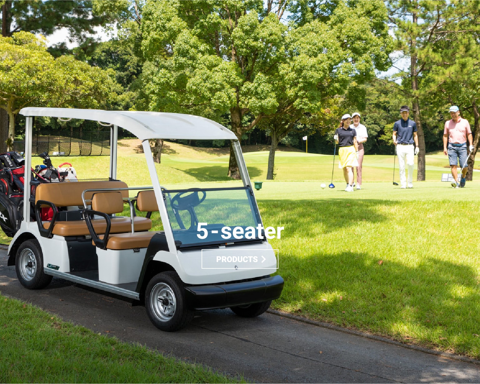 Electric Golf Car, 5000W, 48V, 20mph, Persons, Steel, GPS, Roof