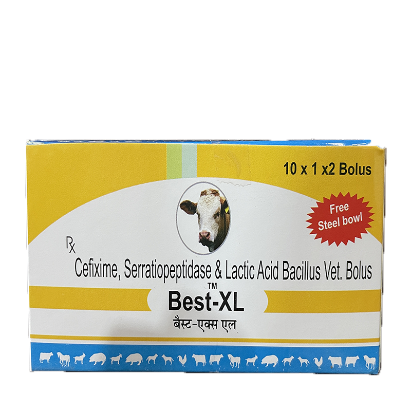 Veterinary Bolus in Delhi at ₹ 51 ₹ 88 Box by Unitech