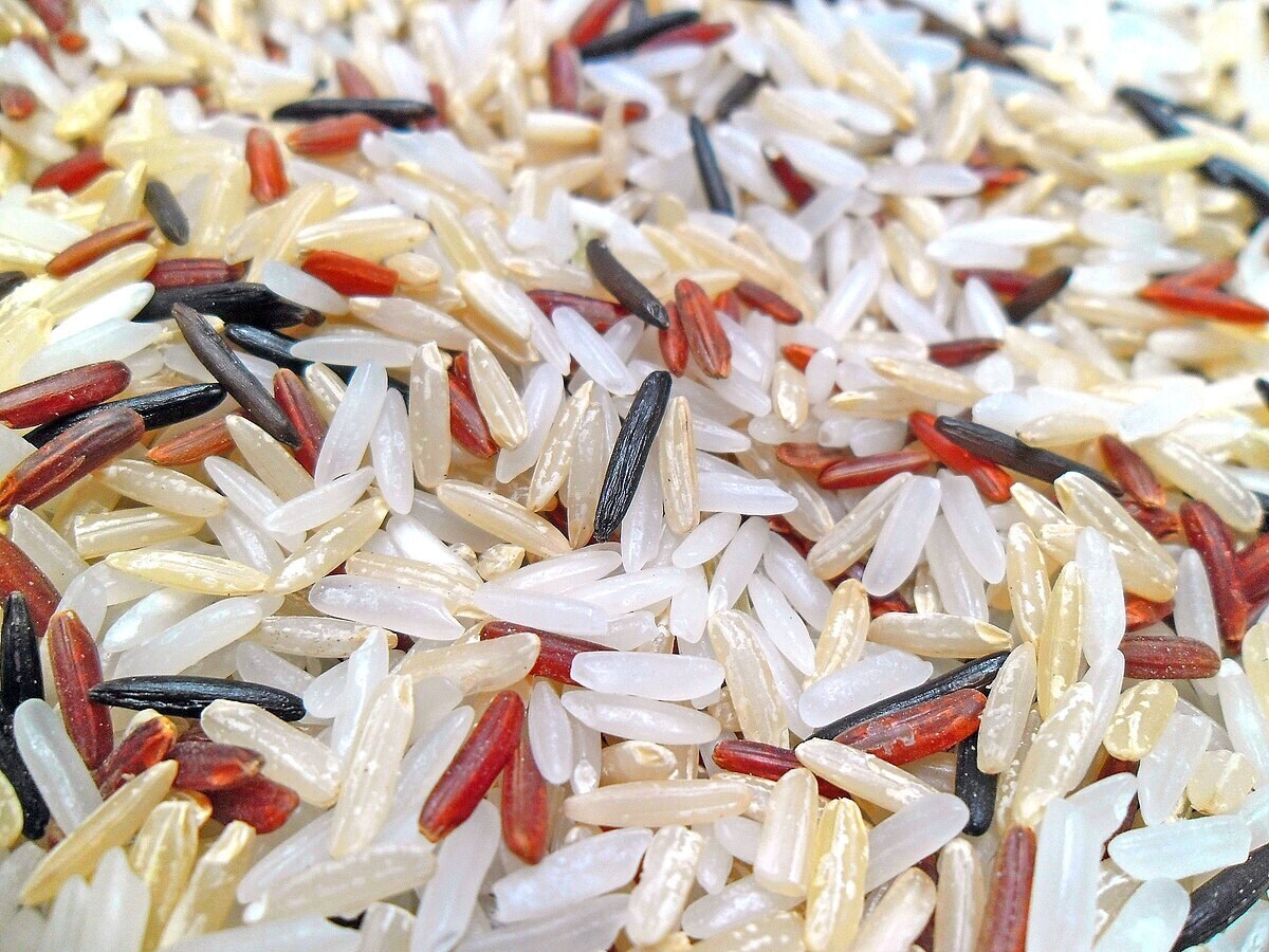 Mhasur Rice Sona Mahsuri Rice in Delhi at best price by Sanchi Cereals Pvt Ltd ...