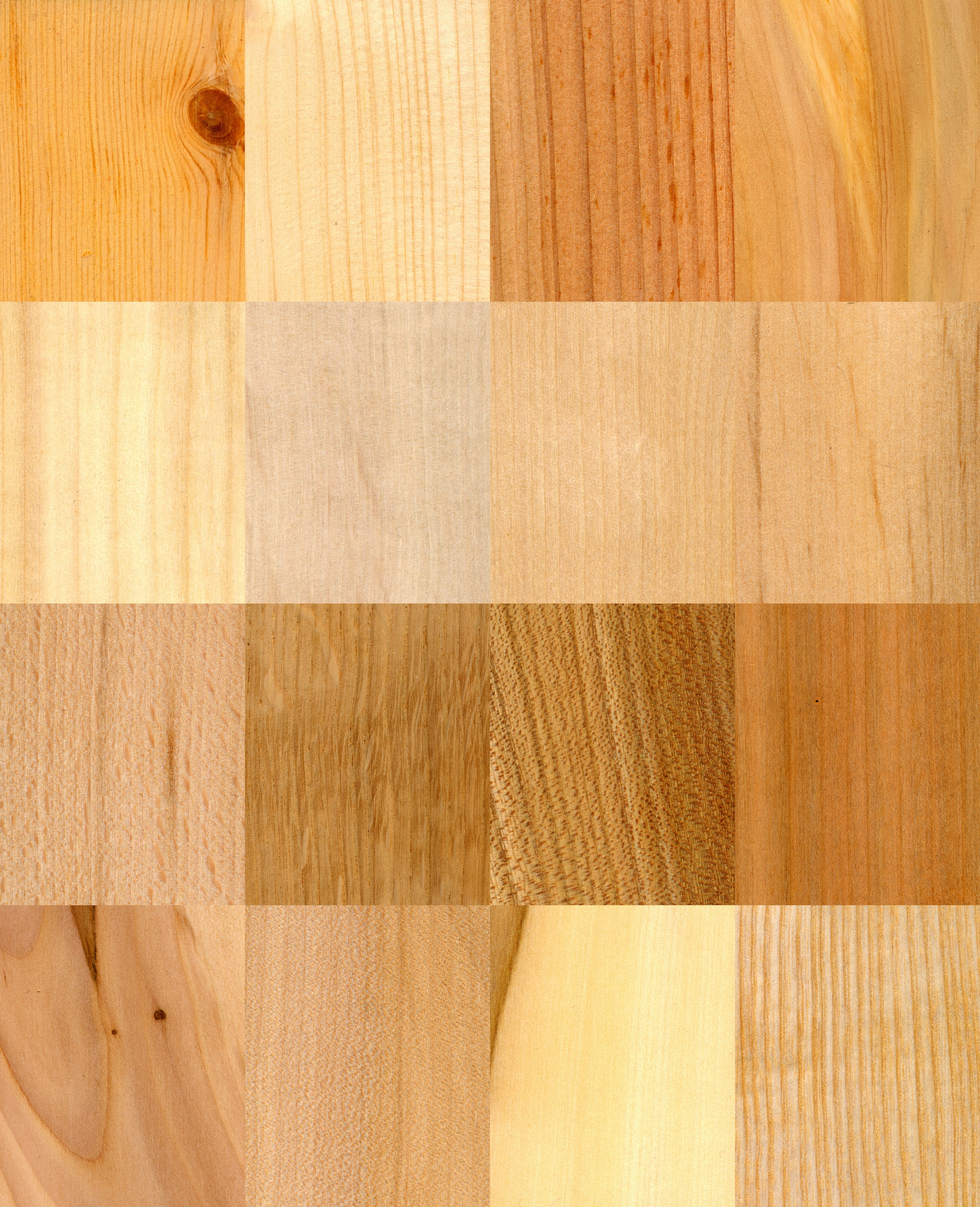 Pine Wood