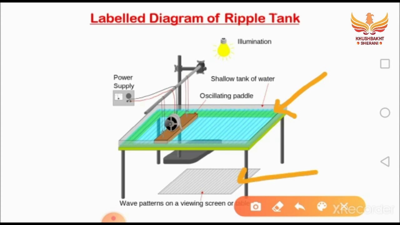 test Ripple Tank in Ambala at ₹ 4,000 - ₹ 32,000 / Pc by Kavita Kitchen  Systems - Justdial