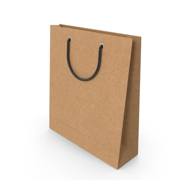 Brown Paper Carry Bag in Kanpur at ₹ ₹ 11 Unit by Advance