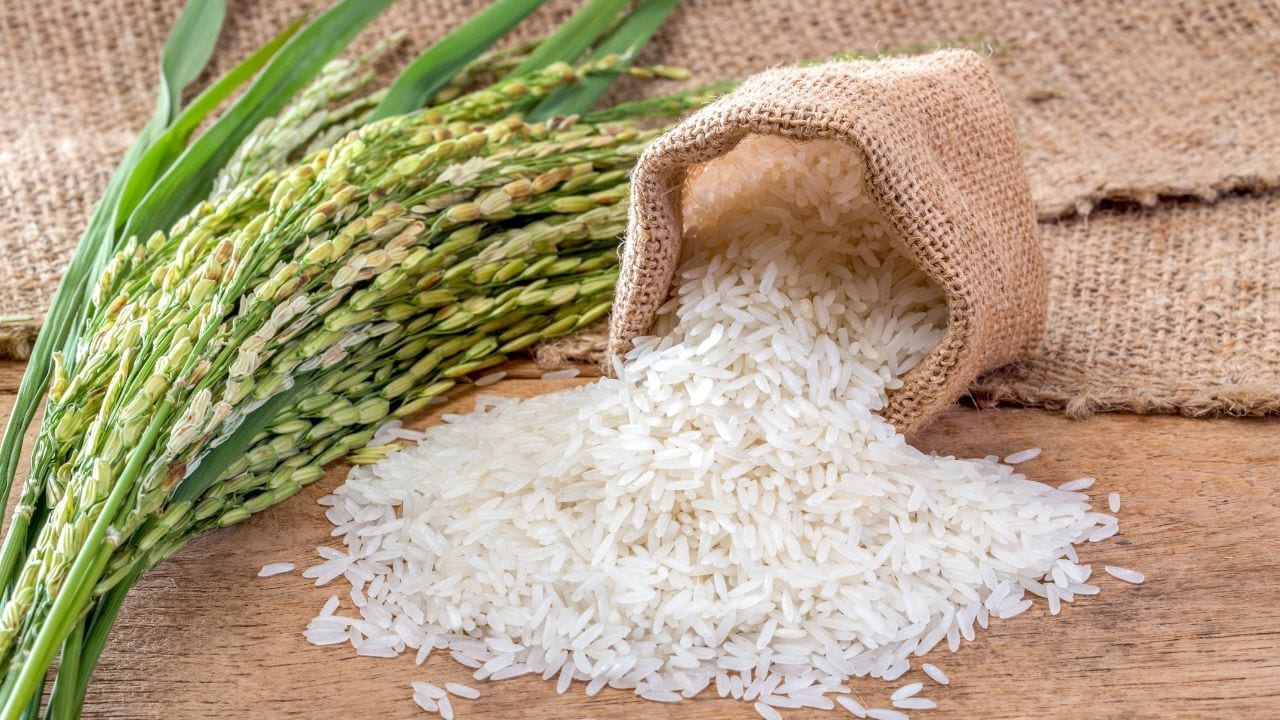 High-Grade Sortex Rice
