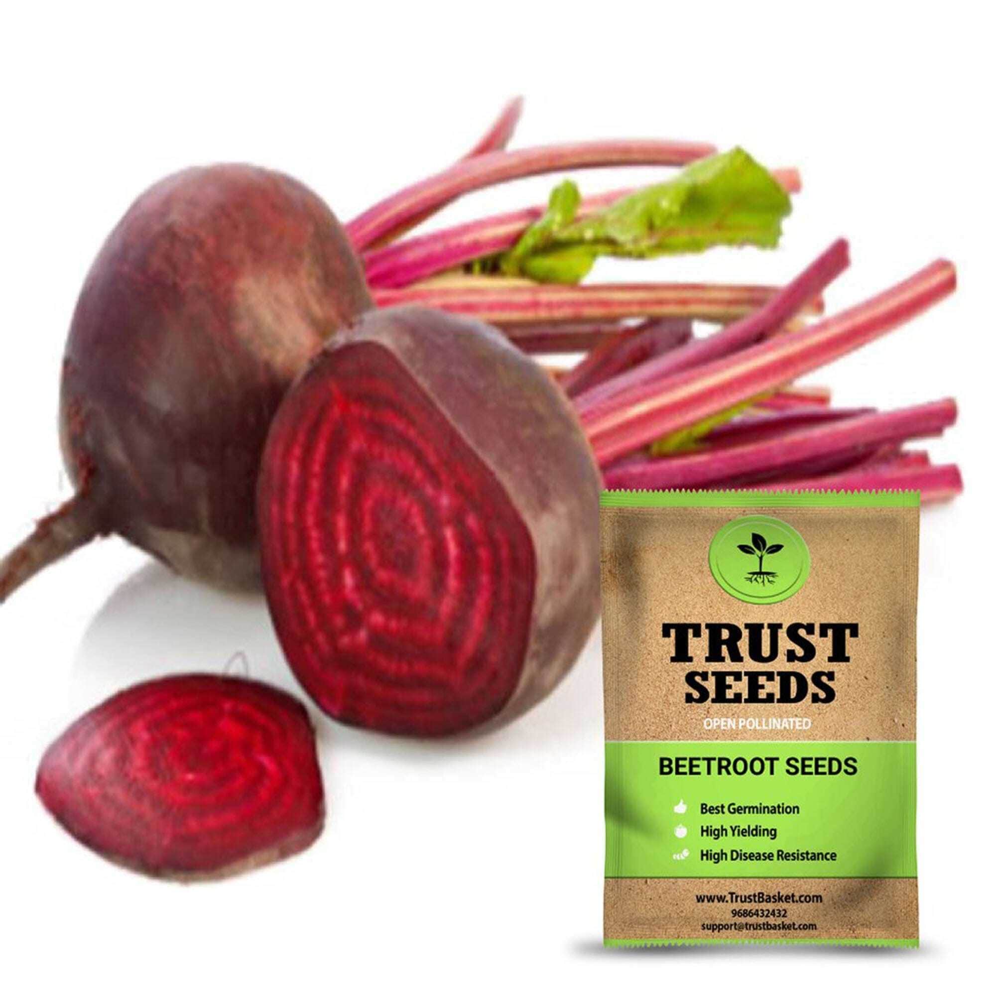 Beetroot Seeds in Hyderabad at ₹ 40 - ₹ 64 / Pack by The Affordable ...