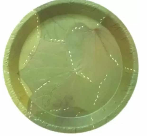 Sal Leaf Buffet Plate 12-inch in Rangareddy at ₹ Pc by Go