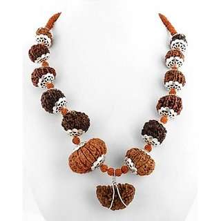 Buy The Gallery Sarva Siddha Rudraksh Mala Nepali 1 Mukhi To 14 Mukhi Rudraksha With Gauri Shankar Ganesha Rudraksha Maala Features Price Reviews Online In India Justdial 1 mukhi rudraksha brings the wearer close to lord shiva and also helps to connect to the spiritual world by meditating. buy the gallery sarva siddha rudraksh