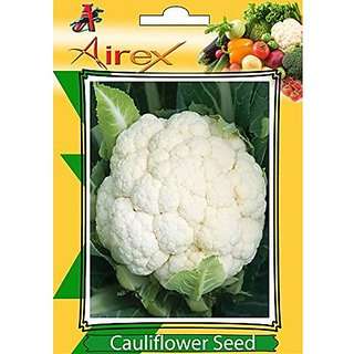 Buy Airex Airex Cauliflower Vegetables Seeds 8 Packet Of Cauliflower Pack Of Avg 50 100 Seeds 8 Per Packet Features Price Reviews Online In India Justdial