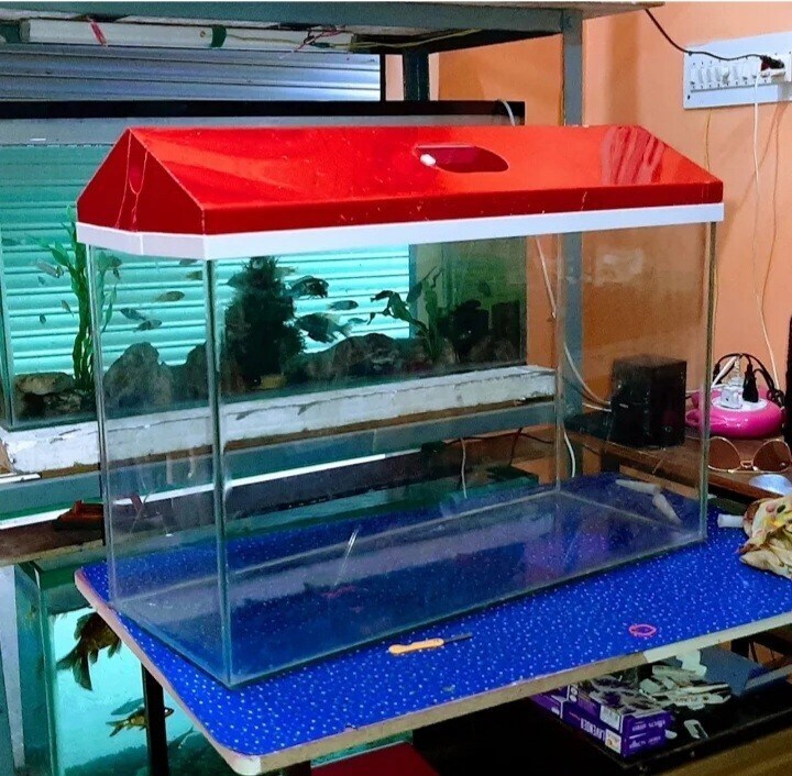2 feet glass aquarium